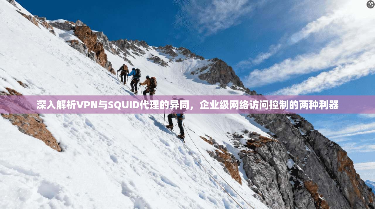 深入解析VPN与SQUID代理的异同,企业级网络访问控制的两种利器