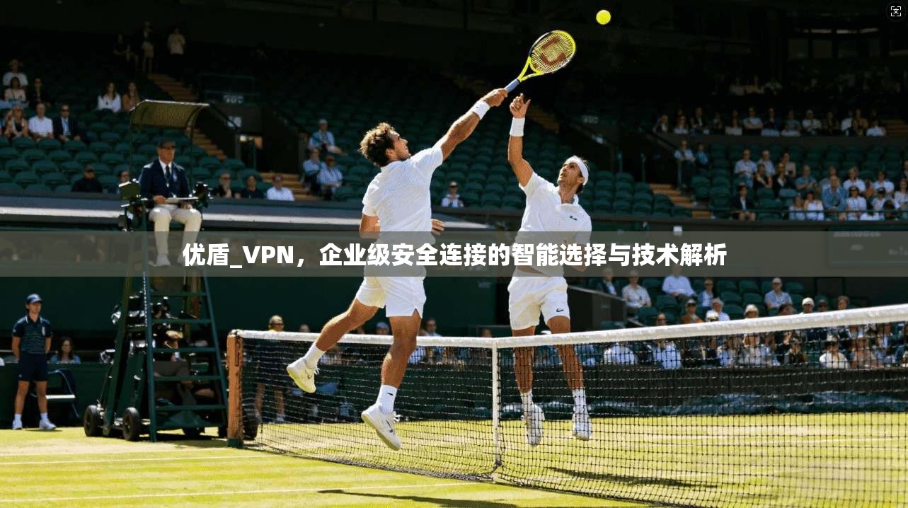 优盾_VPN，企业级安全连接的智能选择与技术解析