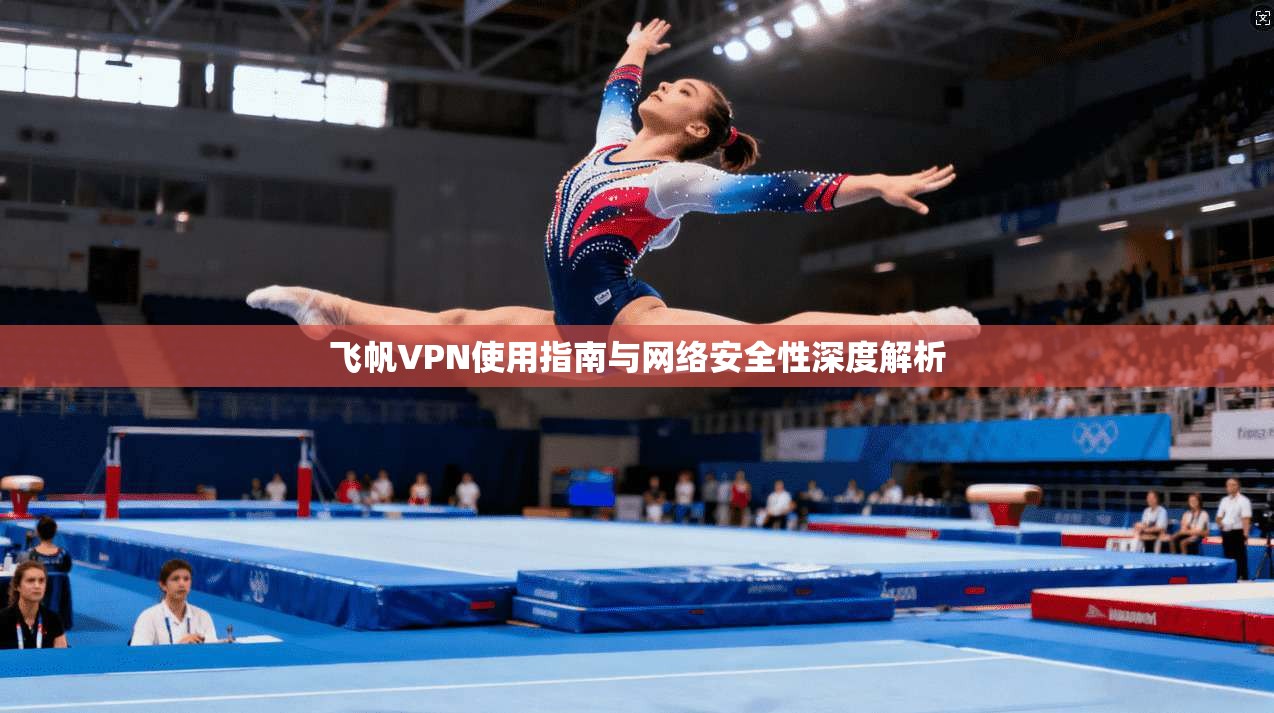 飞帆VPN使用指南与网络安全性深度解析