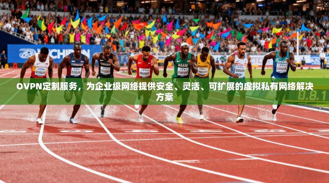 OVPN定制服务，为企业级网络提供安全、灵活、可扩展的虚拟私有网络解决方案
