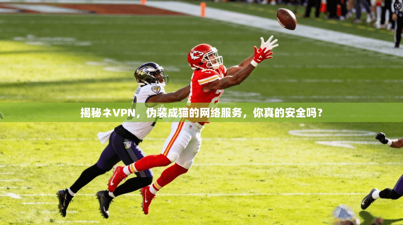 揭秘ネVPN，伪装成猫的网络服务，你真的安全吗？