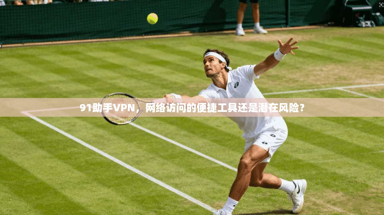 91助手VPN，网络访问的便捷工具还是潜在风险？