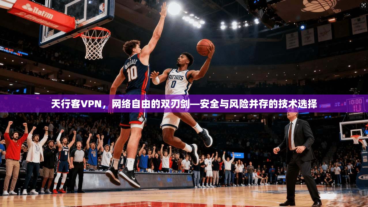 天行客VPN,网络自由的双刃剑—安全与风险并存的技术选择