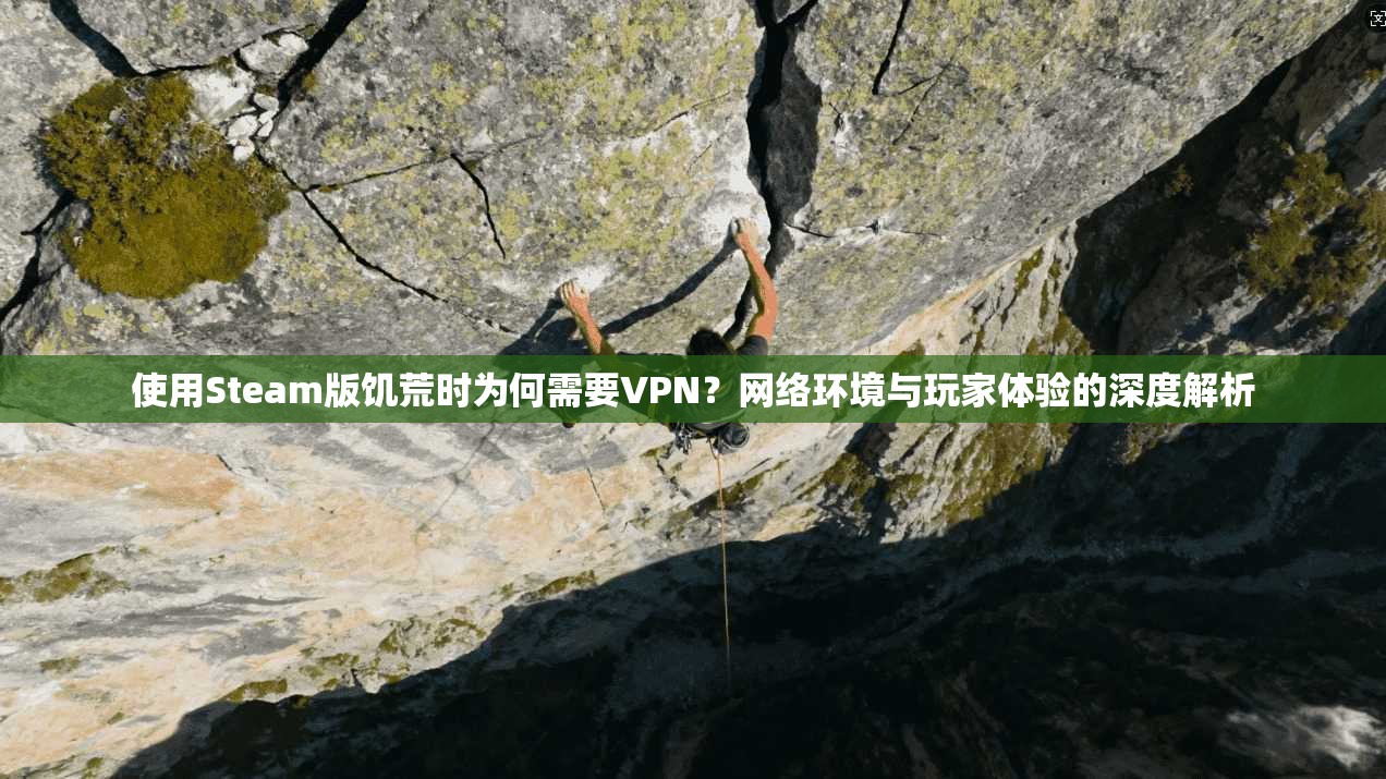 使用Steam版饥荒时为何需要VPN？网络环境与玩家体验的深度解析