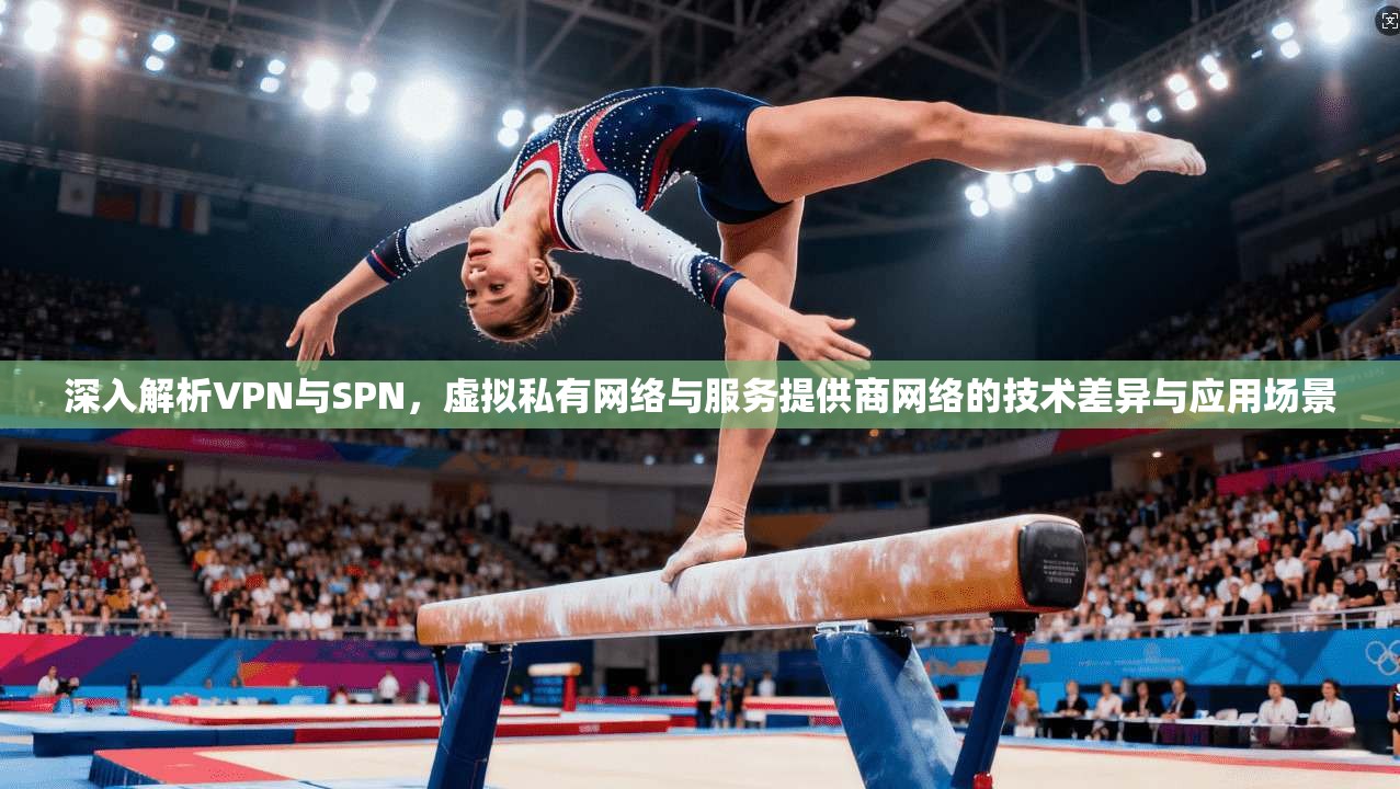 深入解析VPN与SPN，虚拟私有网络与服务提供商网络的技术差异与应用场景