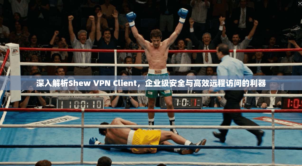 深入解析Shew VPN Client,企业级安全与高效远程访问的利器