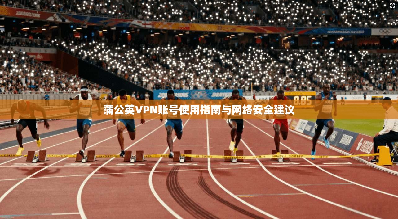 蒲公英VPN账号使用指南与网络安全建议