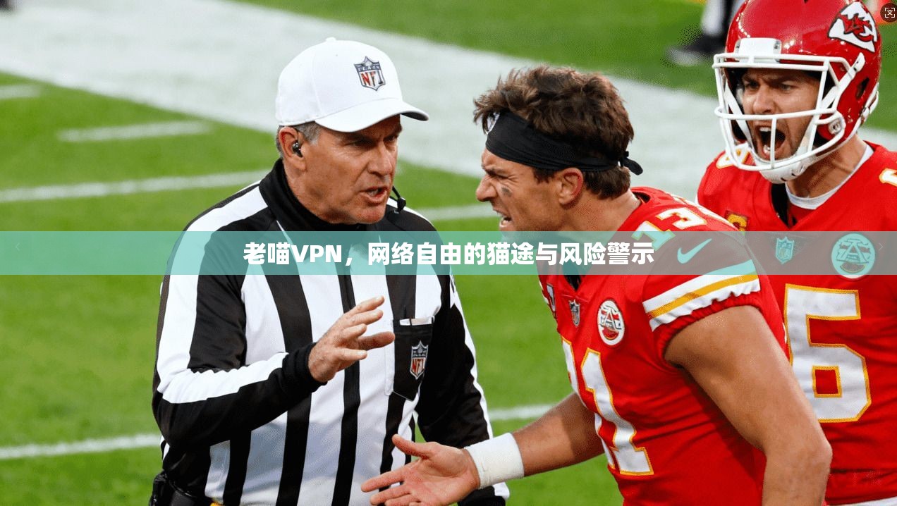 老喵VPN，网络自由的猫途与风险警示