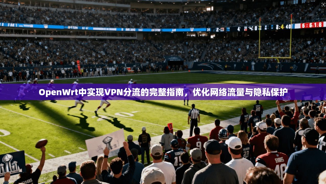 OpenWrt中实现VPN分流的完整指南,优化网络流量与隐私保护