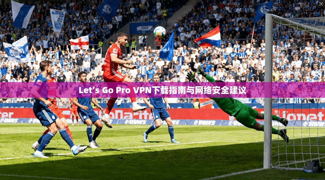 Let’s Go Pro VPN下载指南与网络安全建议