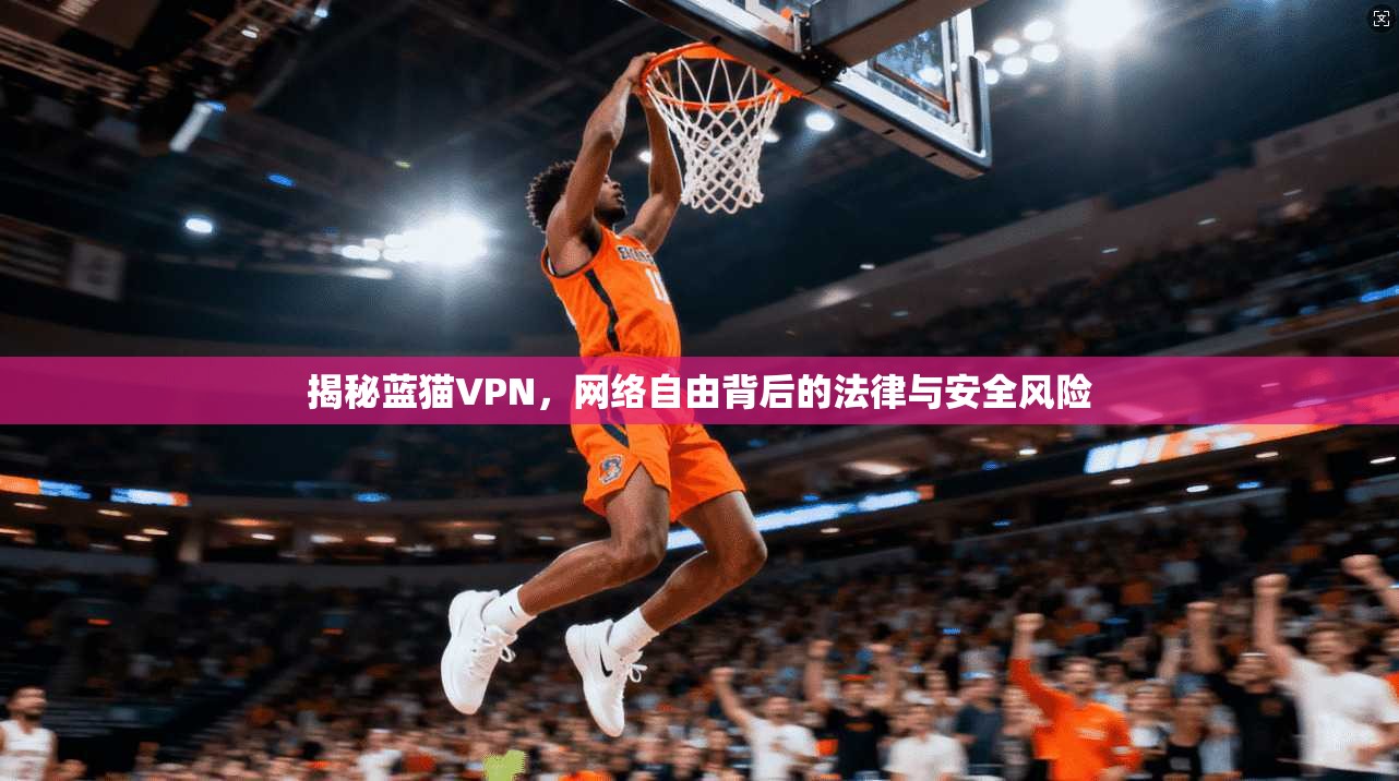 揭秘蓝猫VPN，网络自由背后的法律与安全风险