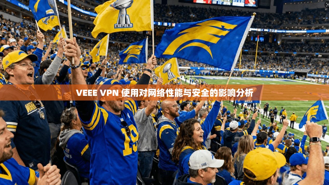 VEEE VPN 使用对网络性能与安全的影响分析