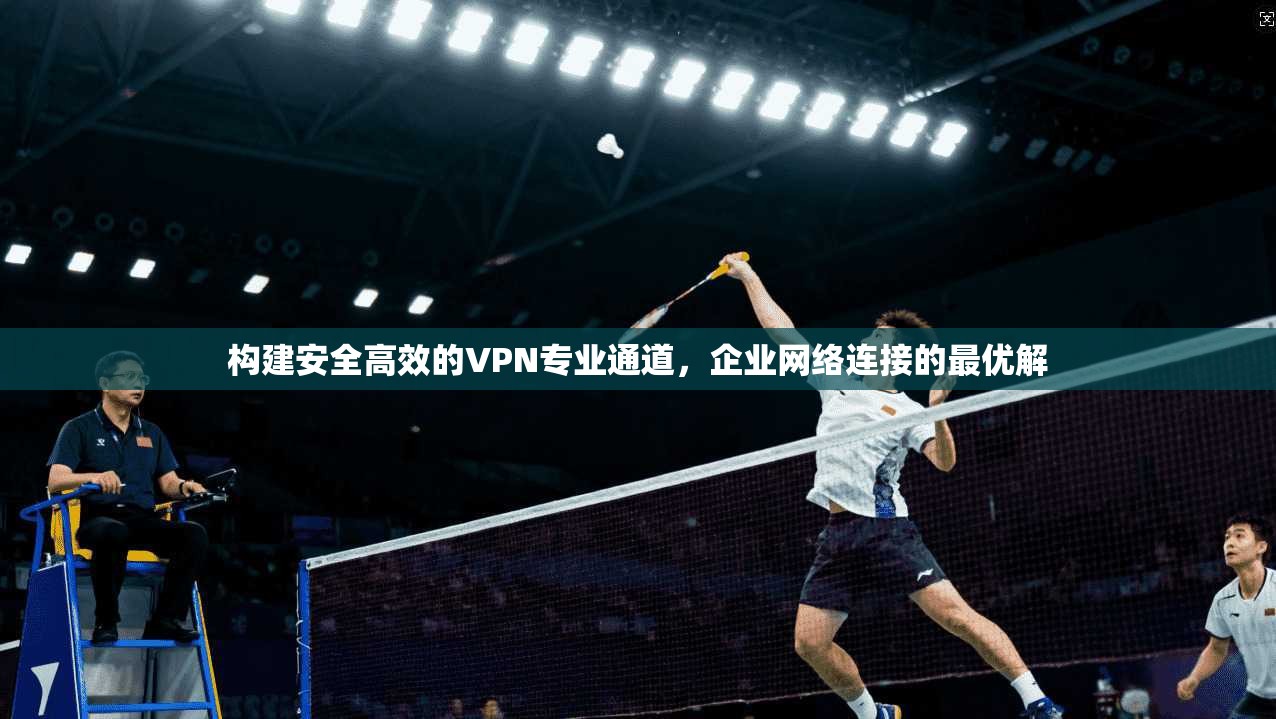 构建安全高效的VPN专业通道，企业网络连接的最优解