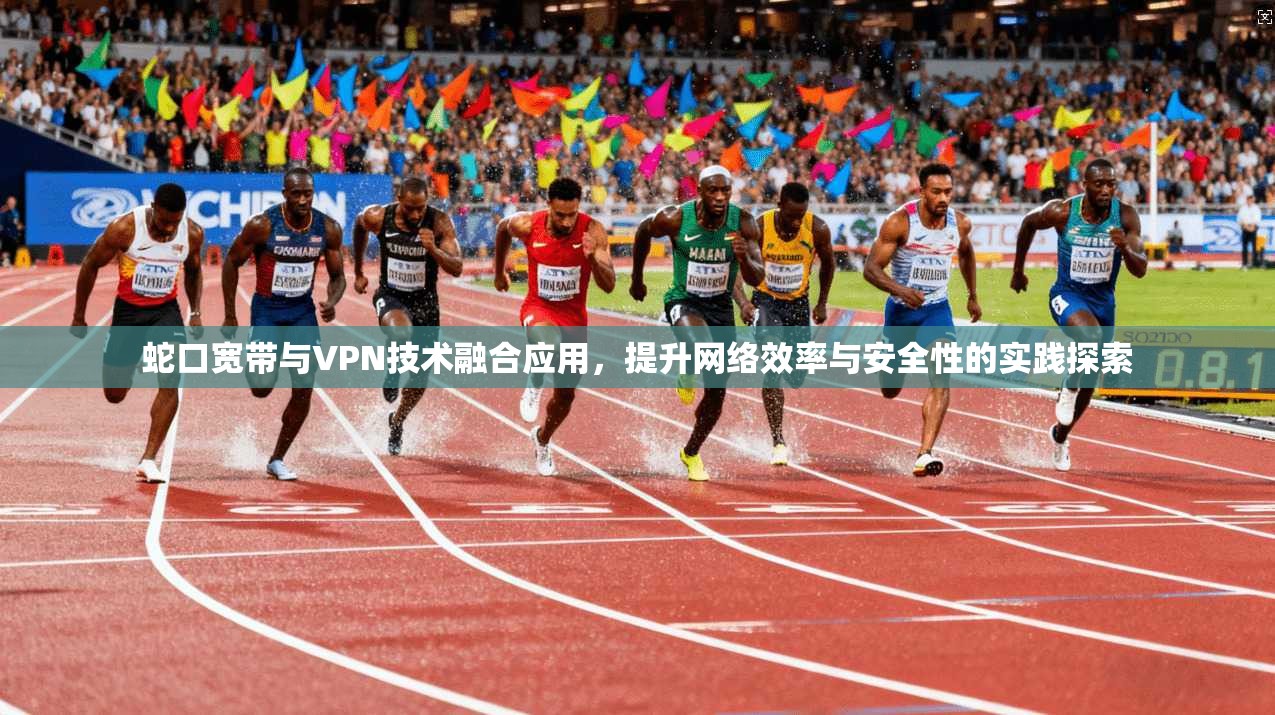蛇口宽带与VPN技术融合应用，提升网络效率与安全性的实践探索
