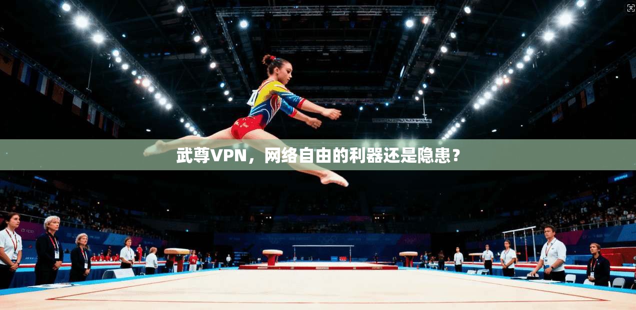 武尊VPN，网络自由的利器还是隐患？
