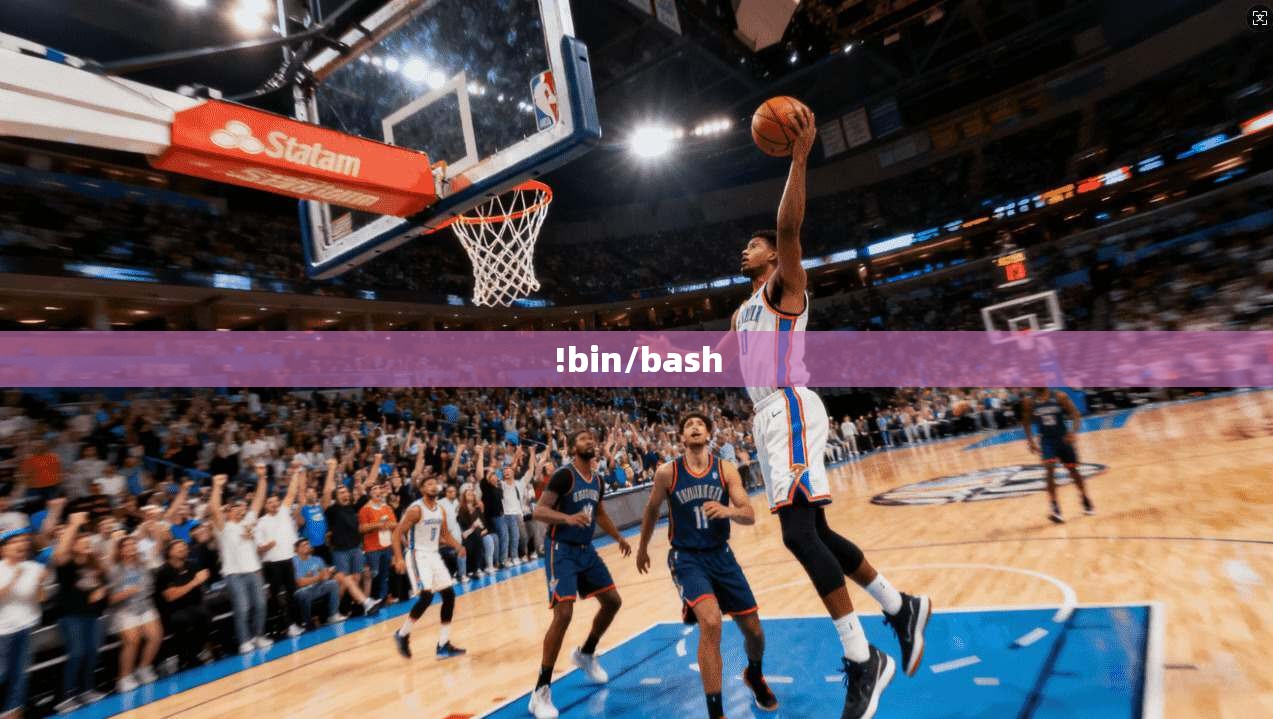 !bin/bash