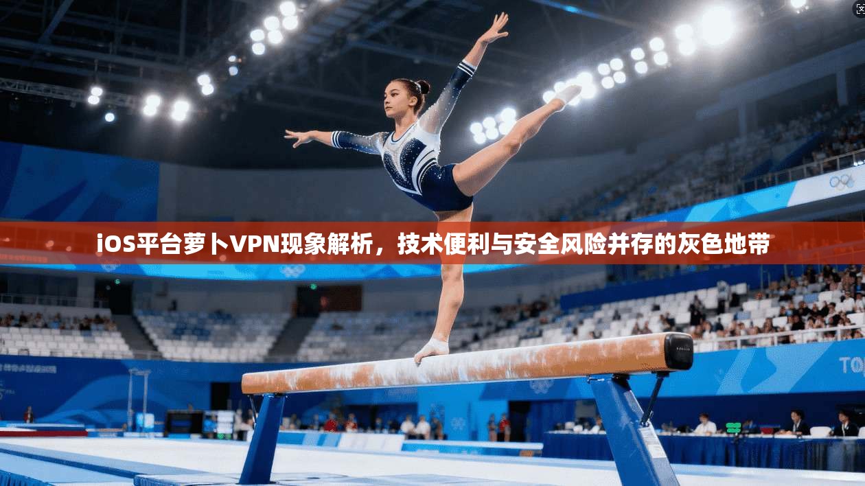 iOS平台萝卜VPN现象解析，技术便利与安全风险并存的灰色地带