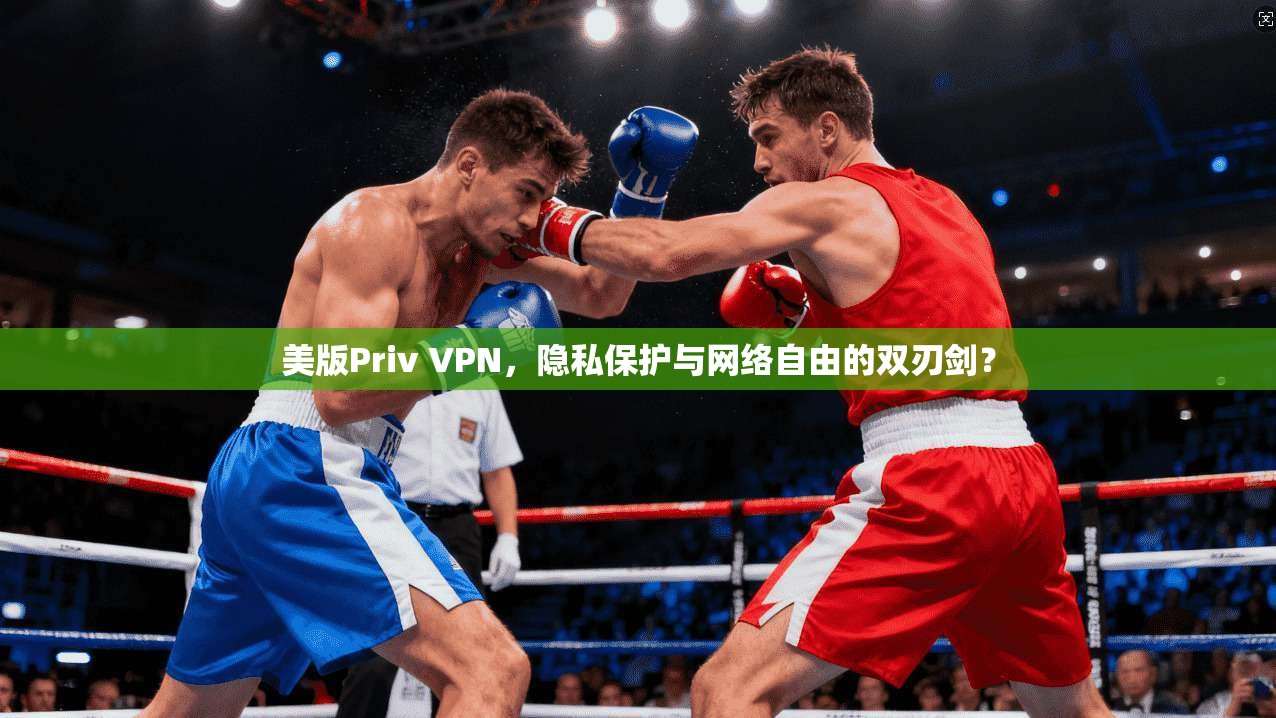 美版Priv VPN，隐私保护与网络自由的双刃剑？