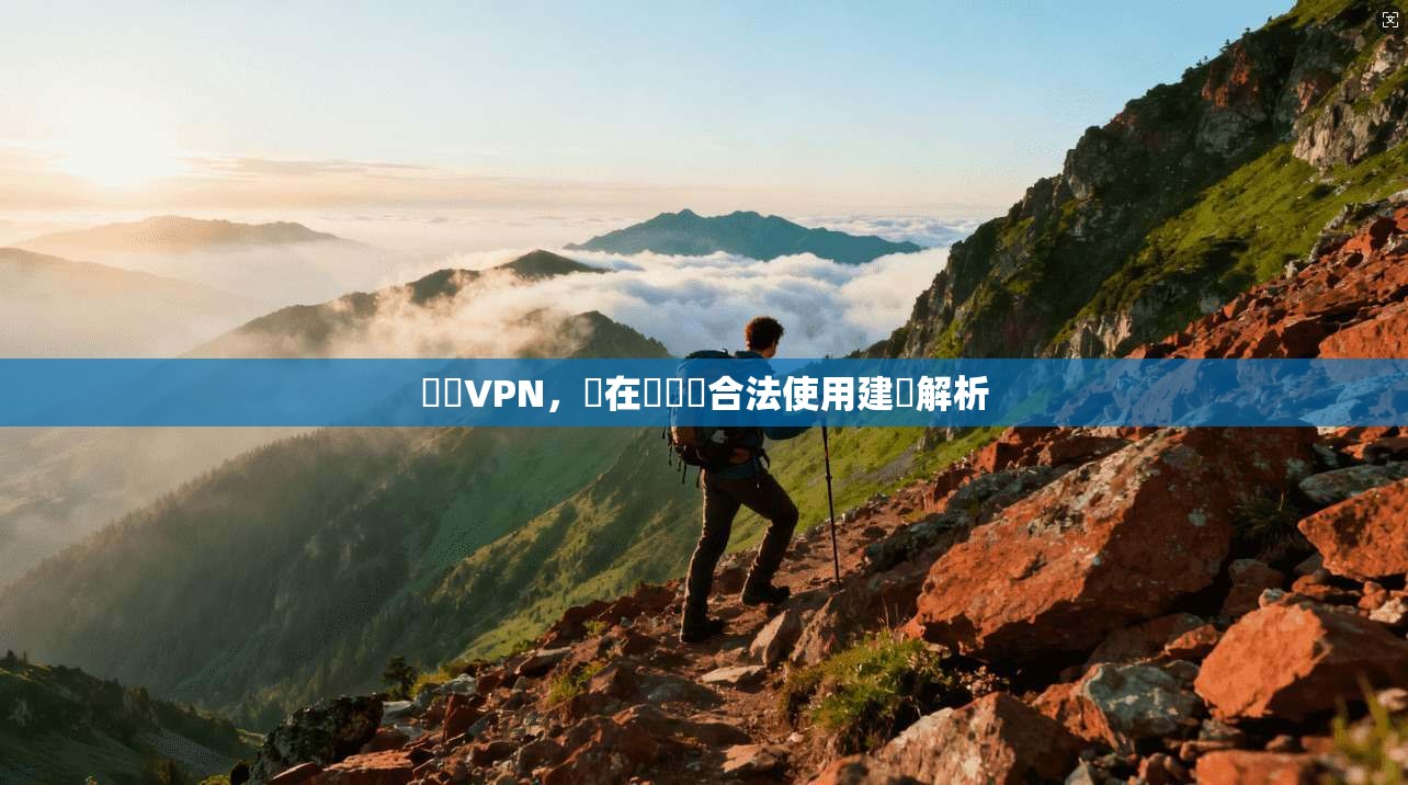 網賺VPN，潛在風險與合法使用建議解析