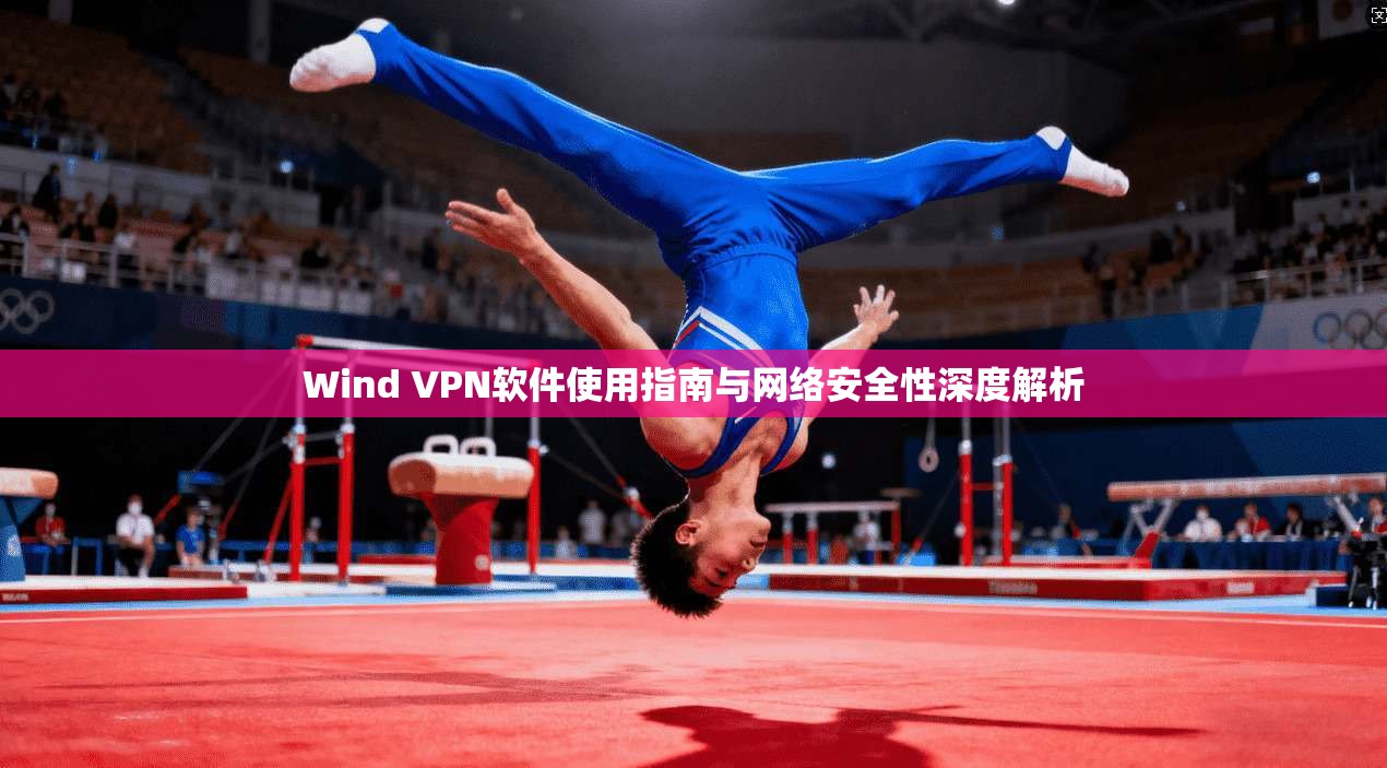 Wind VPN软件使用指南与网络安全性深度解析