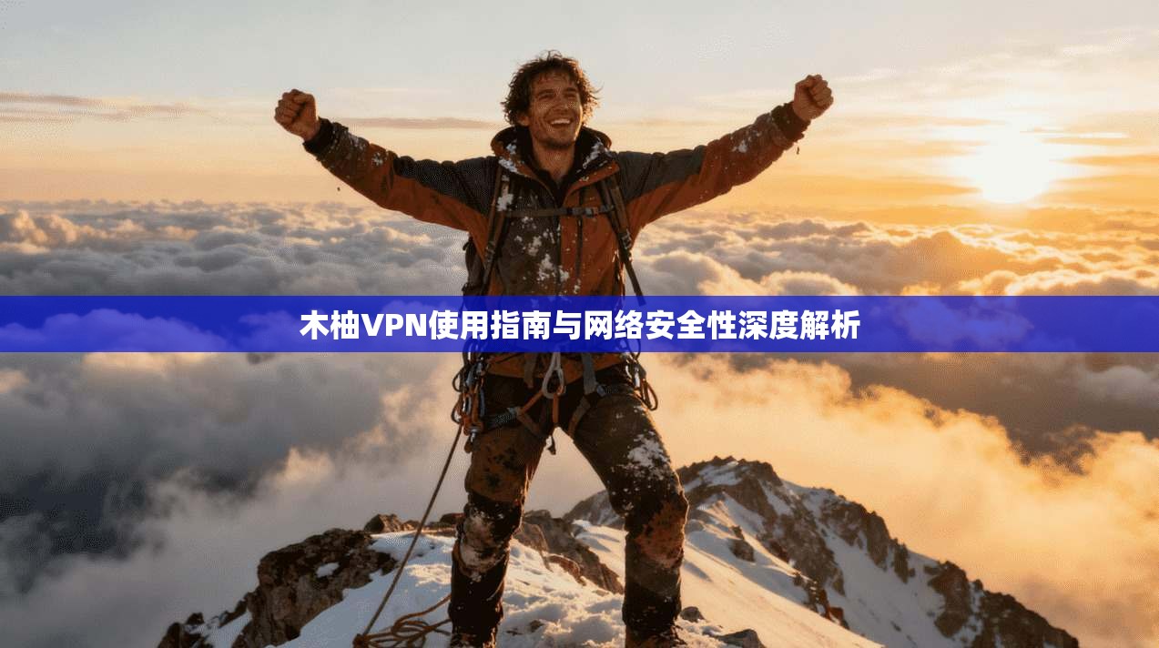 木柚VPN使用指南与网络安全性深度解析
