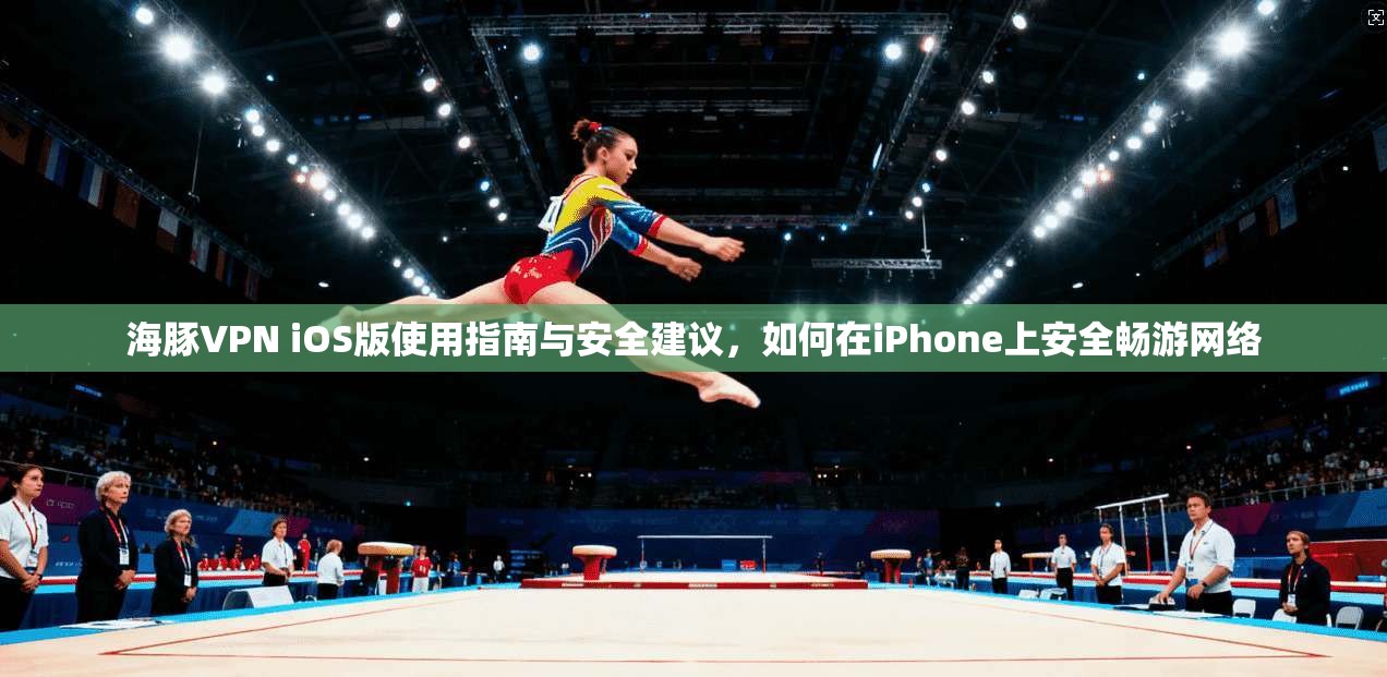 海豚VPN iOS版使用指南与安全建议，如何在iPhone上安全畅游网络