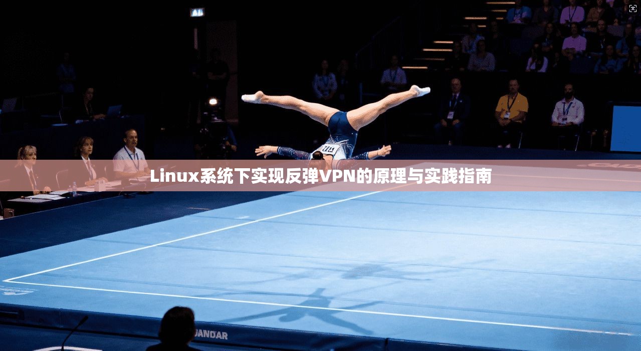 Linux系统下实现反弹VPN的原理与实践指南