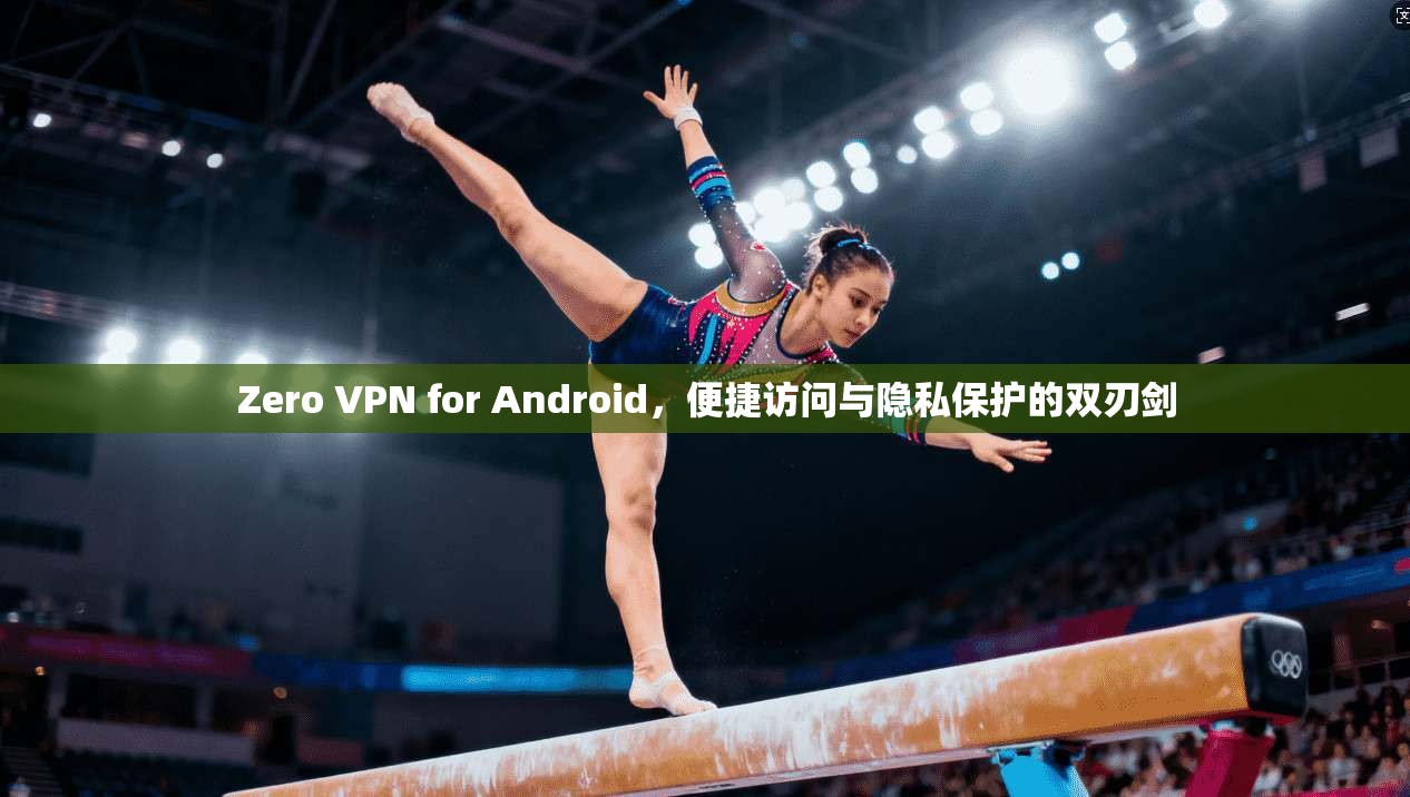 Zero VPN for Android，便捷访问与隐私保护的双刃剑