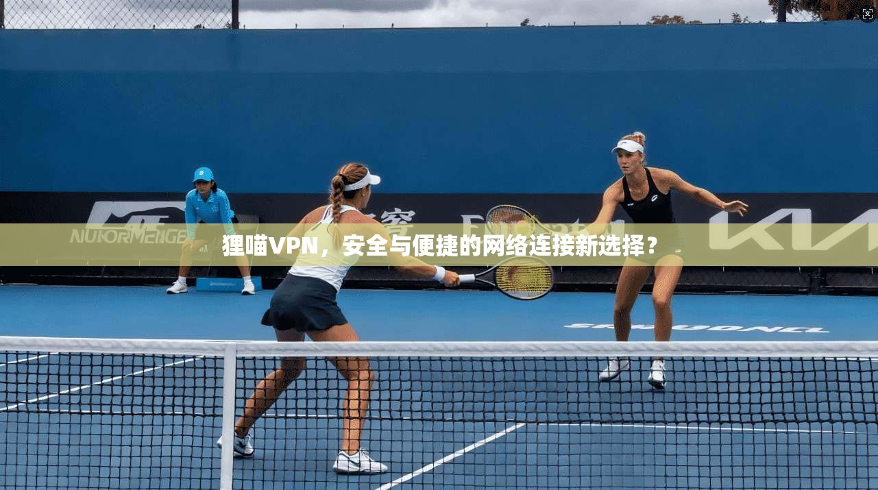 狸喵VPN，安全与便捷的网络连接新选择？