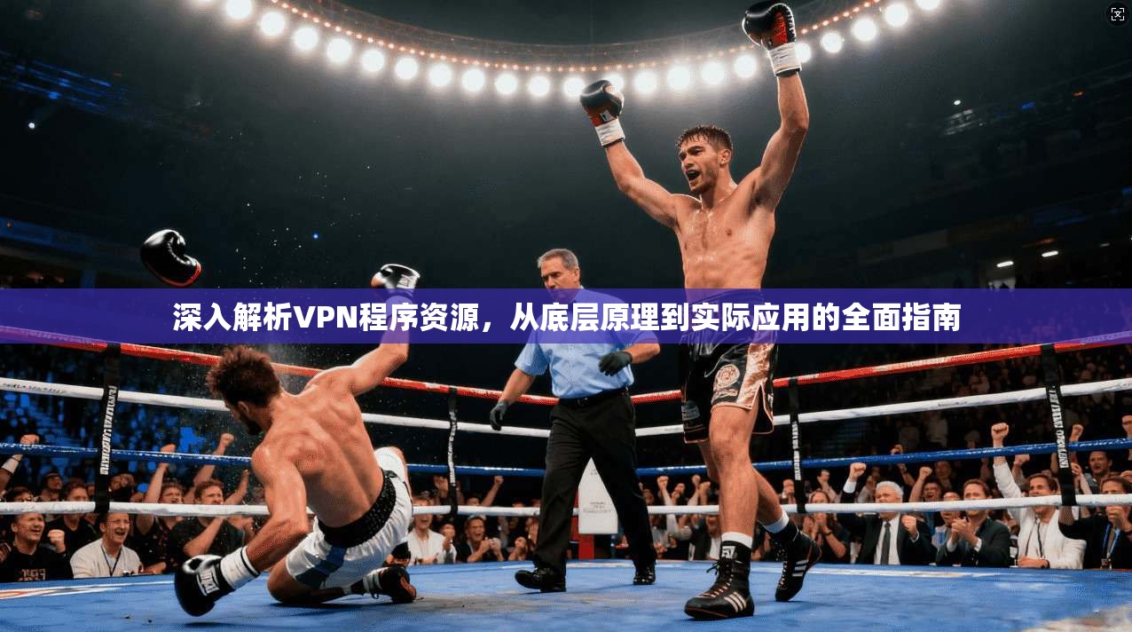 深入解析VPN程序资源，从底层原理到实际应用的全面指南