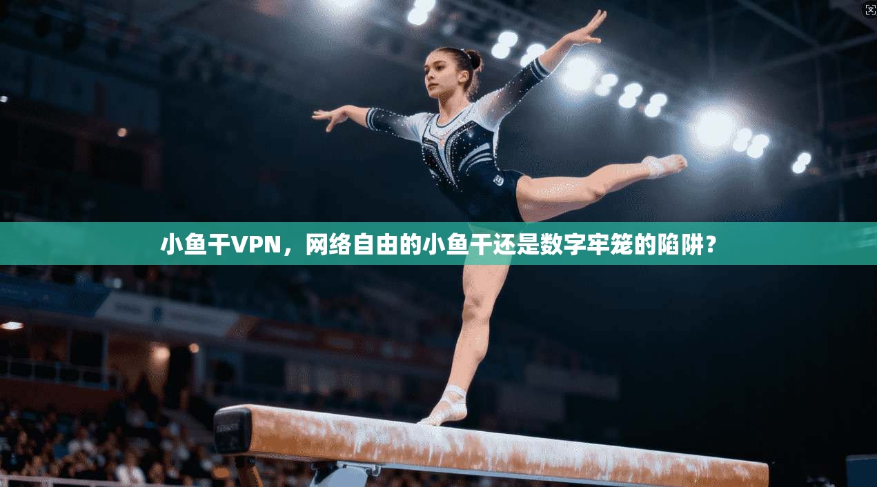 小鱼干VPN，网络自由的小鱼干还是数字牢笼的陷阱？