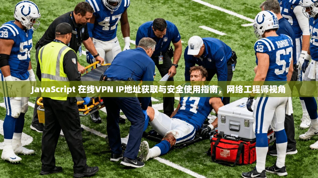 JavaScript 在线VPN IP地址获取与安全使用指南，网络工程师视角