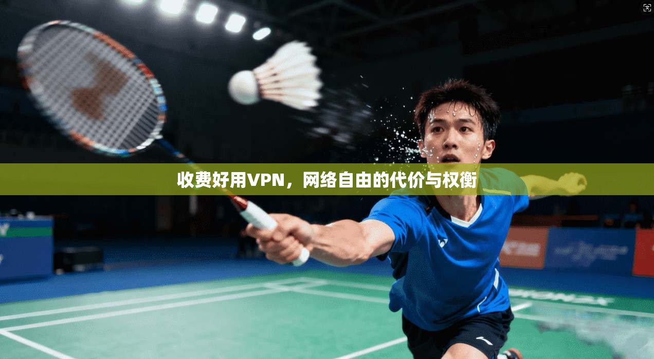 收费好用VPN，网络自由的代价与权衡