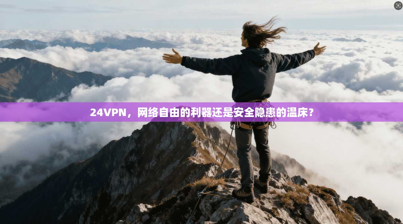 24VPN,网络自由的利器还是安全隐患的温床? 24VPN,网络自由的利器还是安全隐患的温床?