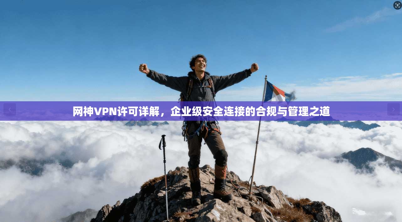 网神VPN许可详解，企业级安全连接的合规与管理之道