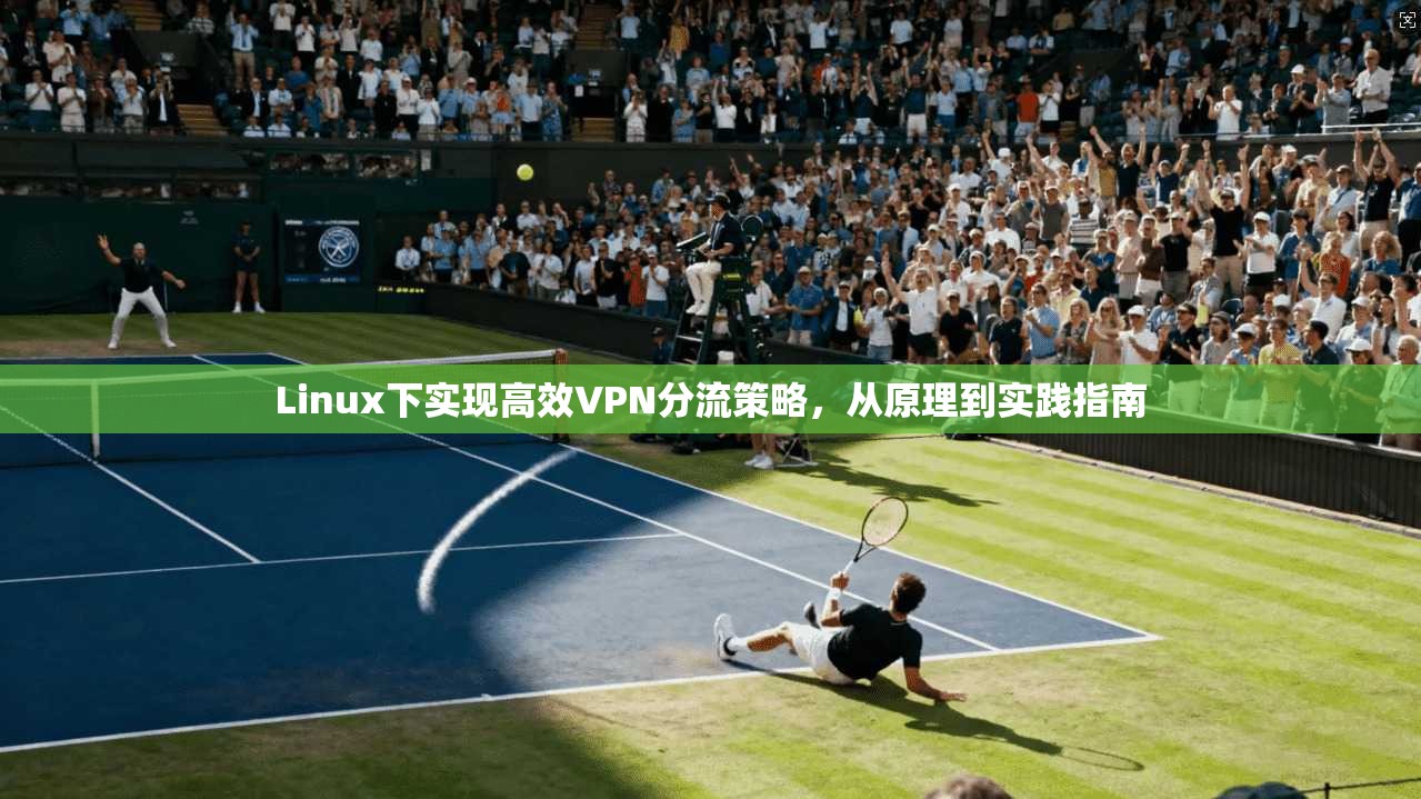 Linux下实现高效VPN分流策略，从原理到实践指南