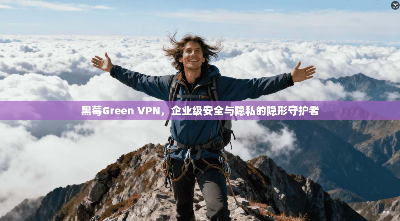 黑莓Green VPN，企业级安全与隐私的隐形守护者
