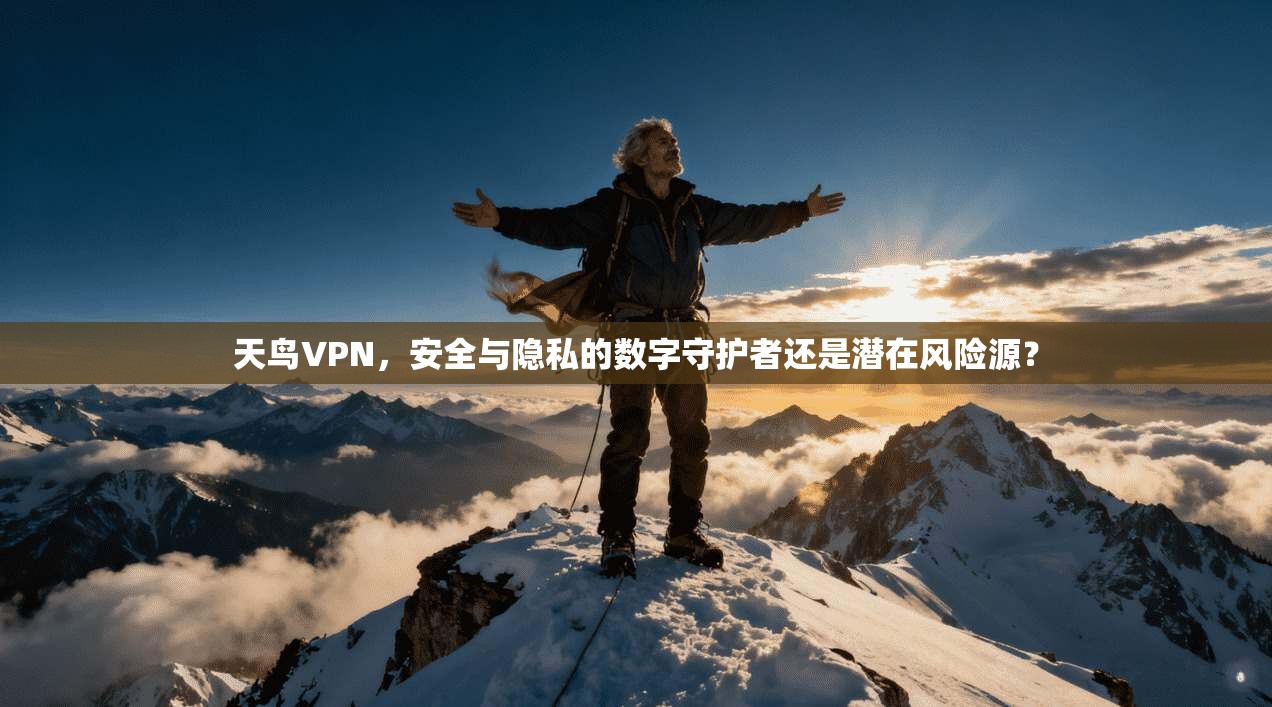 天鸟VPN，安全与隐私的数字守护者还是潜在风险源？