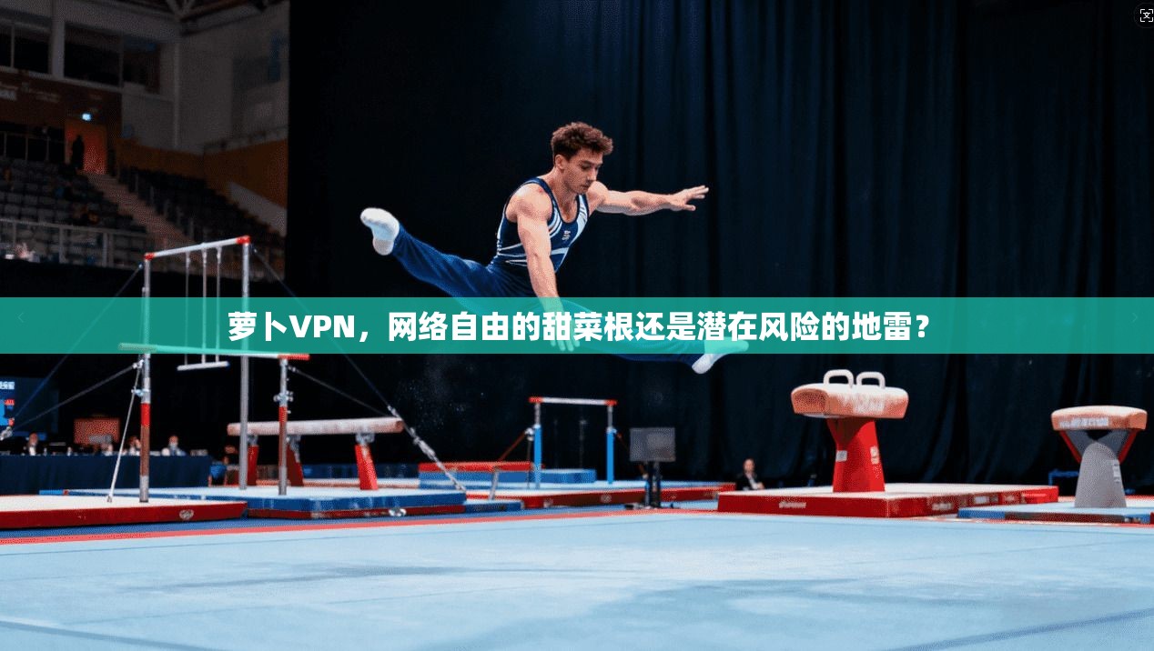 萝卜VPN，网络自由的甜菜根还是潜在风险的地雷？