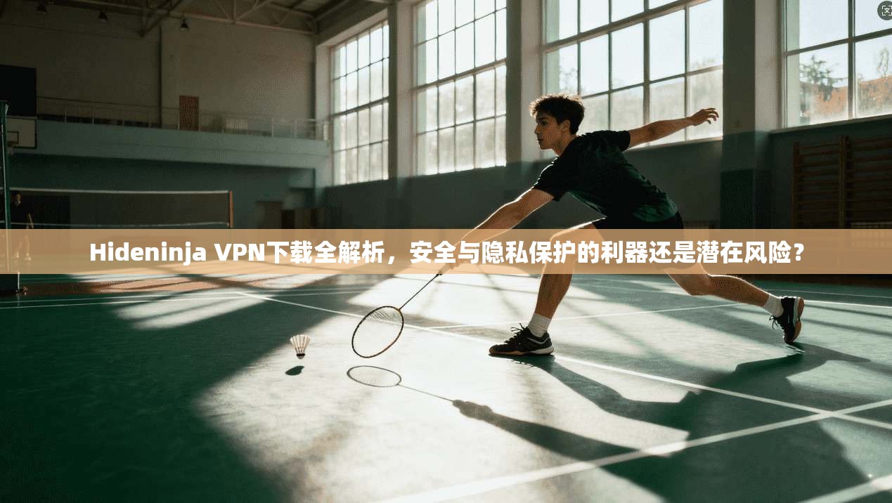 Hideninja VPN下载全解析，安全与隐私保护的利器还是潜在风险？