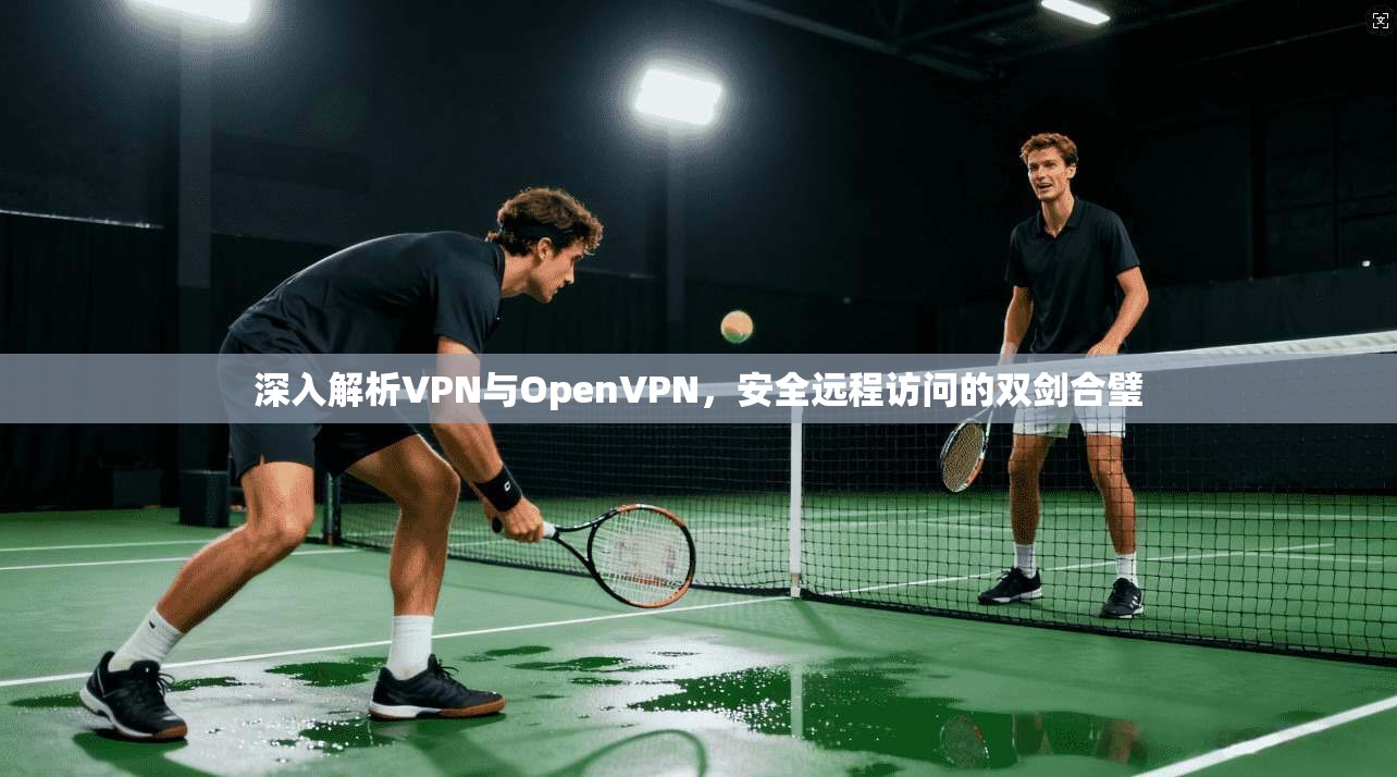 深入解析VPN与OpenVPN，安全远程访问的双剑合璧