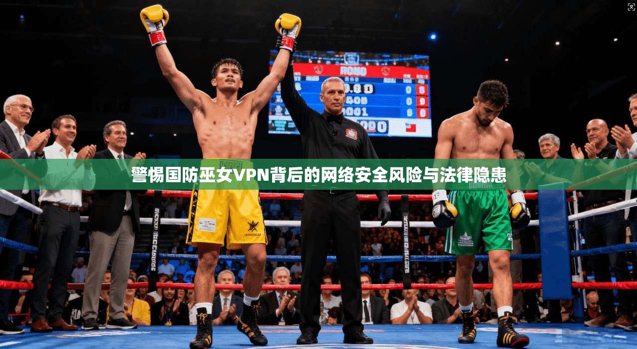 警惕国防巫女VPN背后的网络安全风险与法律隐患