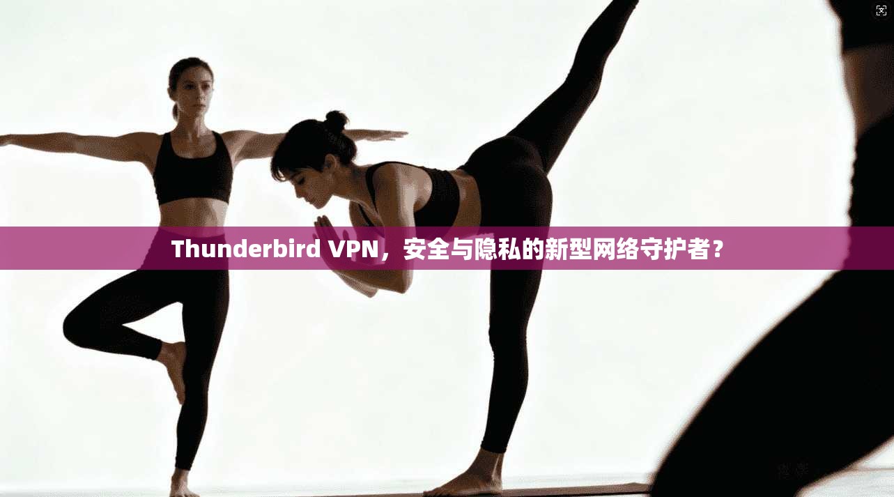 Thunderbird VPN，安全与隐私的新型网络守护者？