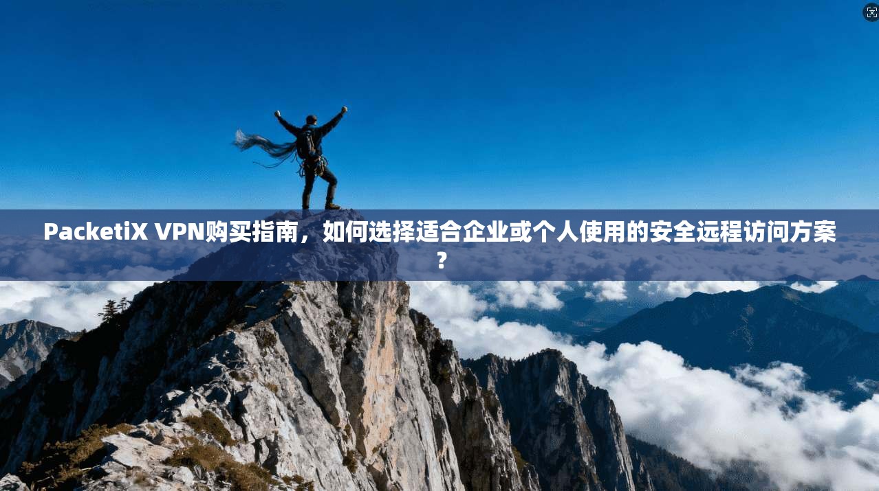 PacketiX VPN购买指南，如何选择适合企业或个人使用的安全远程访问方案？