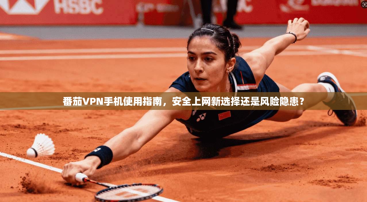 番茄VPN手机使用指南,安全上网新选择还是风险隐患? 番茄VPN手机使用指南,安全上网新选择还是风险隐患?