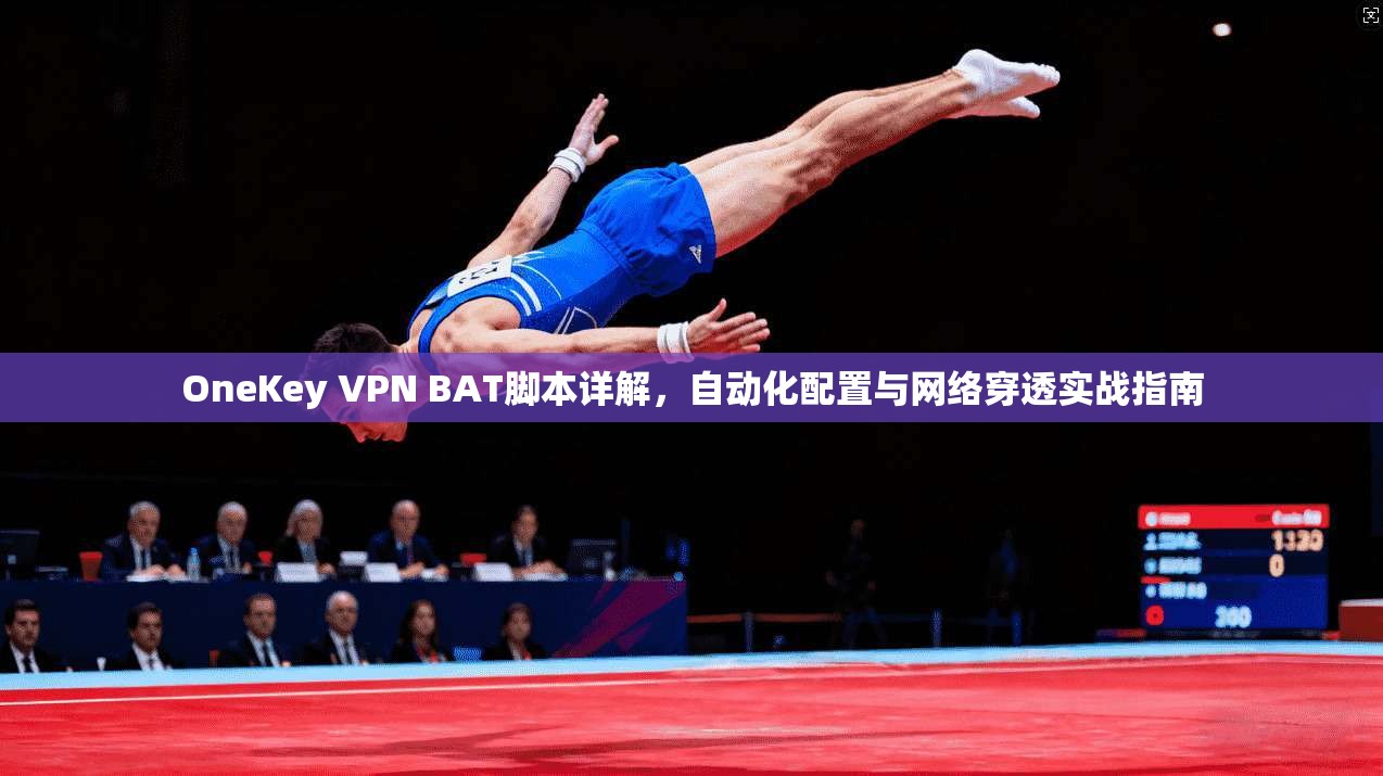 OneKey VPN BAT脚本详解，自动化配置与网络穿透实战指南