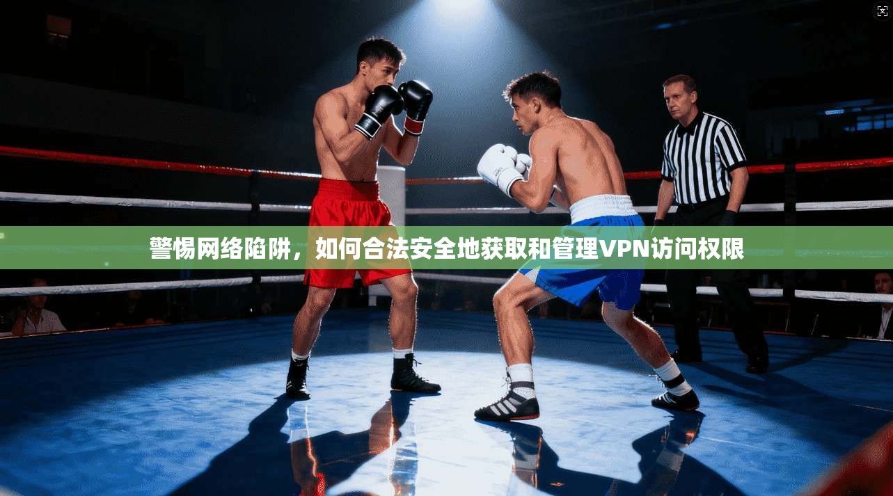 警惕网络陷阱，如何合法安全地获取和管理VPN访问权限