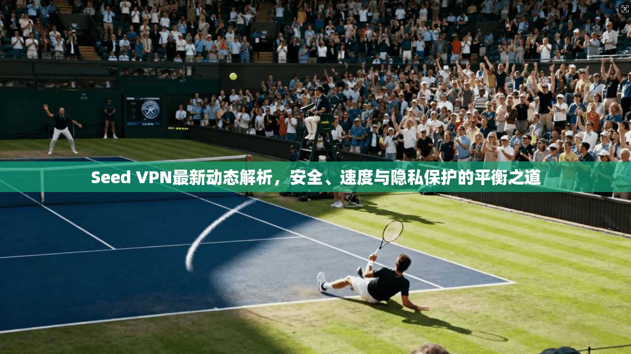 Seed VPN最新动态解析，安全、速度与隐私保护的平衡之道