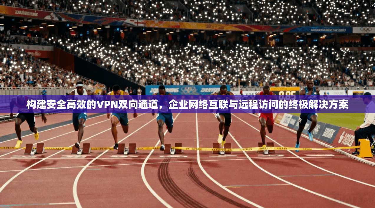 构建安全高效的VPN双向通道，企业网络互联与远程访问的终极解决方案