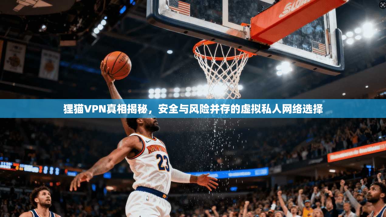 狸猫VPN真相揭秘,安全与风险并存的虚拟私人网络选择 狸猫VPN真相揭秘,安全与风险并存的虚拟私人网络选择